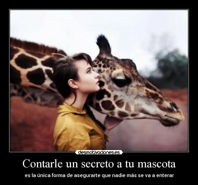 Contarle un secreto a tu mascota - 