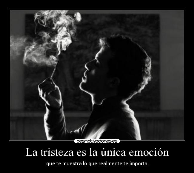 La tristeza es la única emoción - que te muestra lo que realmente te importa.