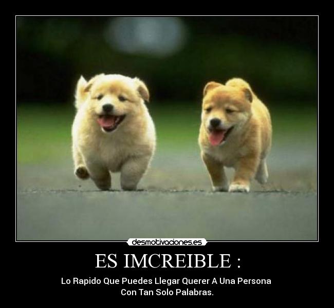 carteles luizitho prada desmotivaciones