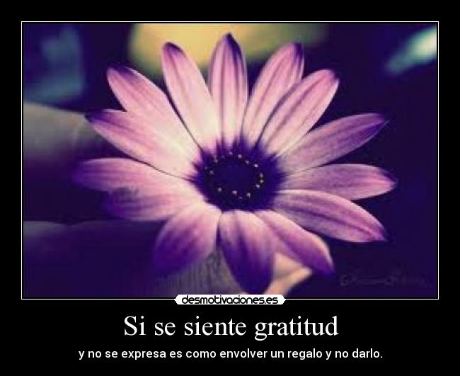 Si se siente gratitud - y no se expresa es como envolver un regalo y no darlo.