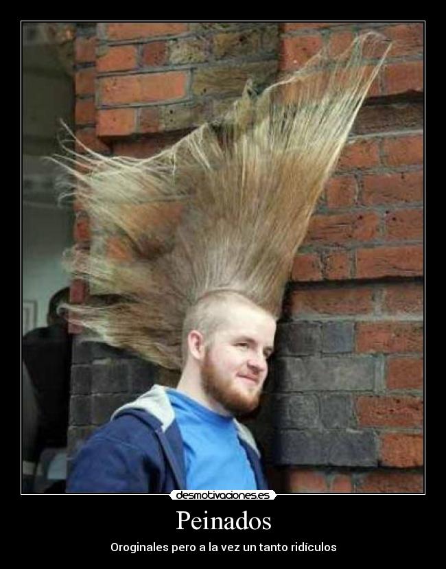 Peinados - Oroginales pero a la vez un tanto ridículos