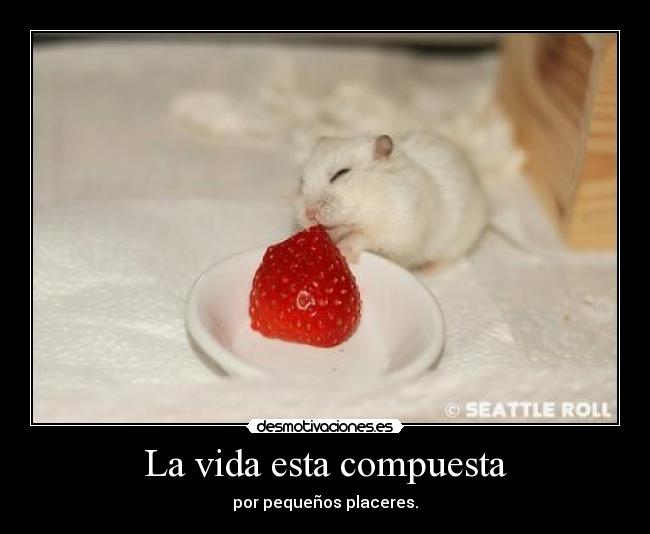 La vida esta compuesta - por pequeños placeres.