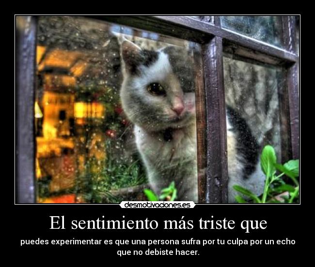 El sentimiento más triste que - puedes experimentar es que una persona sufra por tu culpa por un echo
que no debiste hacer.