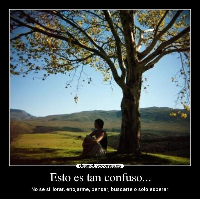 carteles dilema desmotivaciones