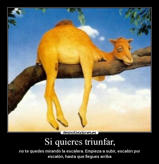 Si quieres triunfar, - no te quedes mirando la escalera. Empieza a subir, escalón por
escalón, hasta que llegues arriba