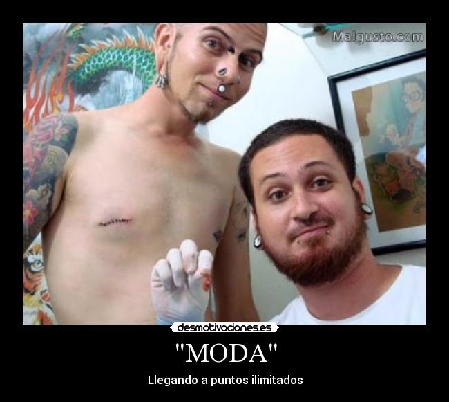 carteles pezonsito desmotivaciones