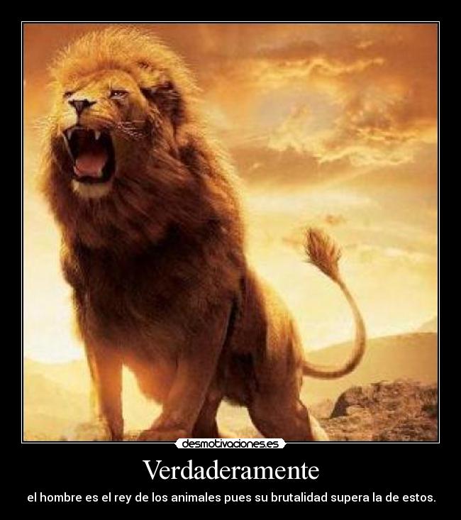 Verdaderamente - el hombre es el rey de los animales pues su brutalidad supera la de estos.
