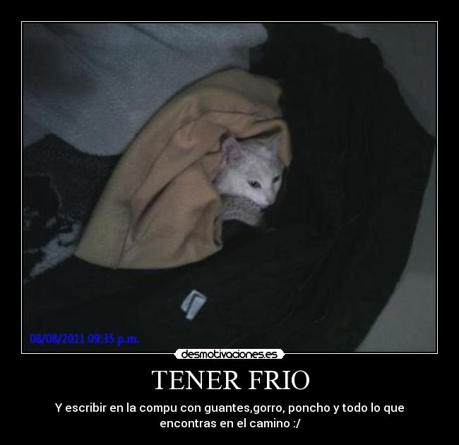 TENER FRIO - 