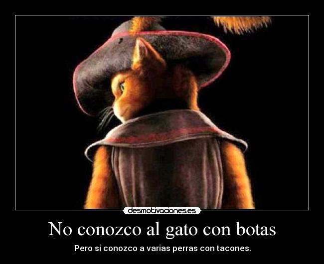 No conozco al gato con botas - Pero si conozco a varias perras con tacones.