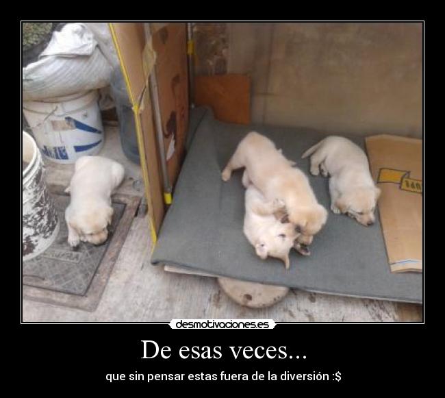 De esas veces... - que sin pensar estas fuera de la diversión :$