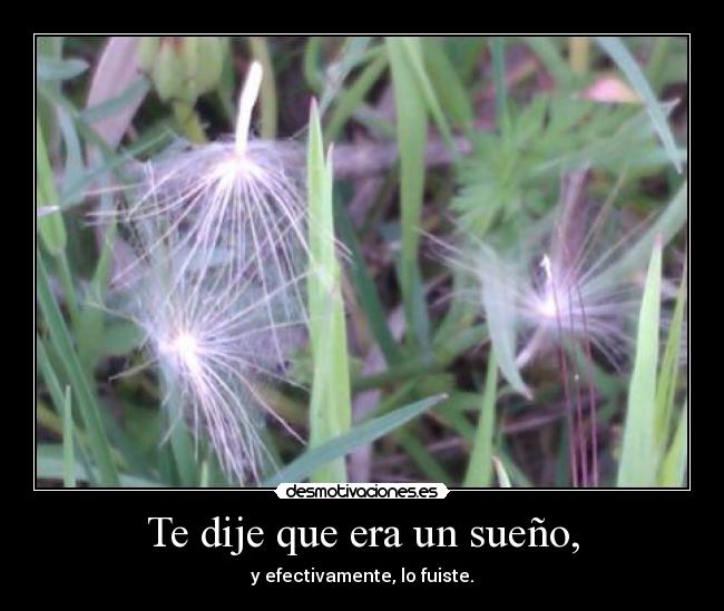 Te dije que era un sueño, -