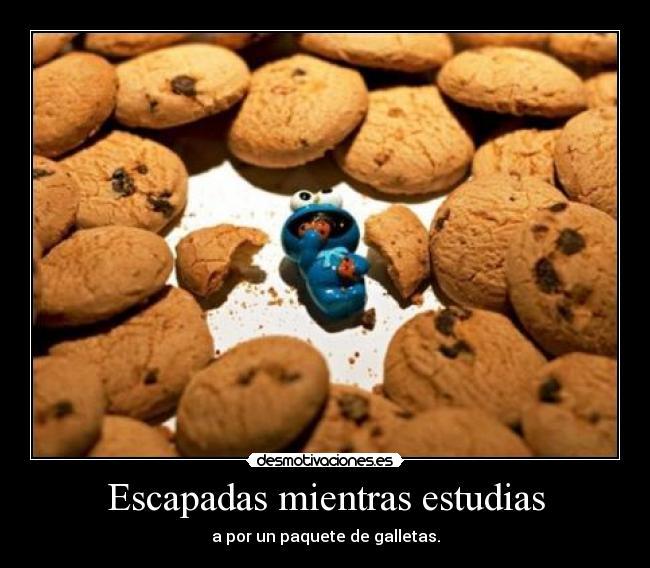 Escapadas mientras estudias - 