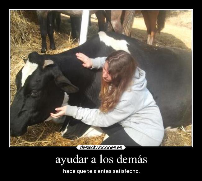 carteles mireia desmotivaciones