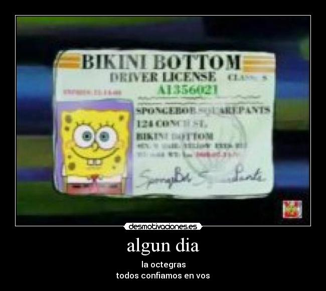 carteles dia bob esponja desmotivaciones