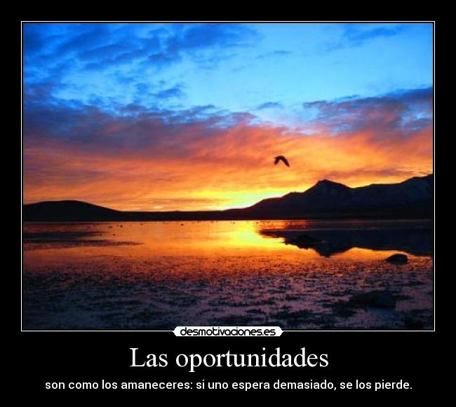 Las oportunidades - 
