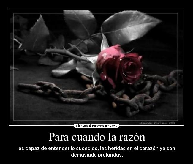 Para cuando la razón - es capaz de entender lo sucedido, las heridas en el corazón ya son
demasiado profundas.