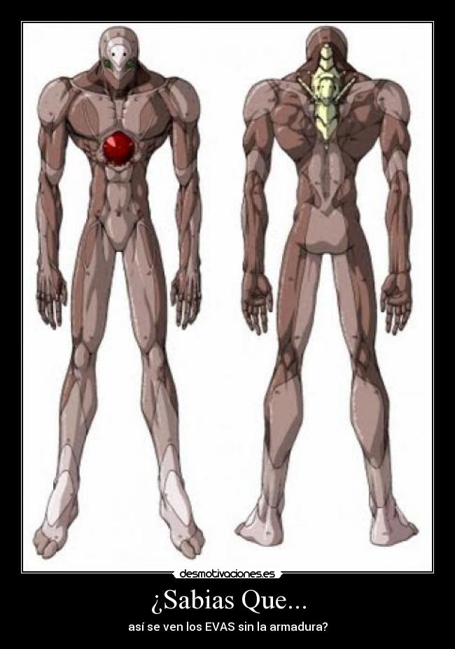 carteles evangelion armaduras sabias que desmotivaciones