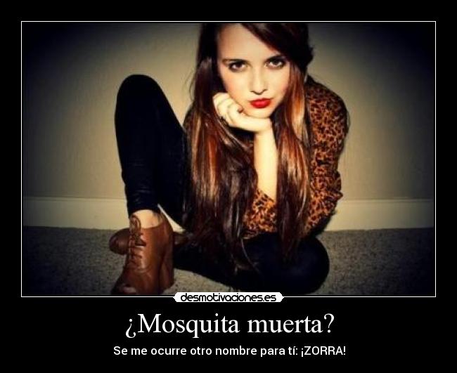 ¿Mosquita muerta? - Se me ocurre otro nombre para tí: ¡ZORRA!