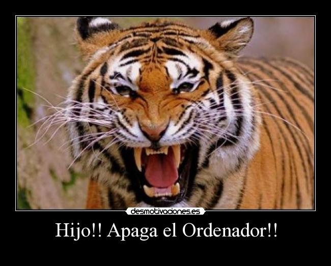Hijo!! Apaga el Ordenador!! -