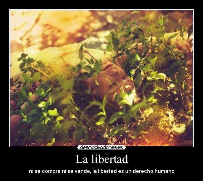 La libertad - ni se compra ni se vende, la libertad es un derecho humano