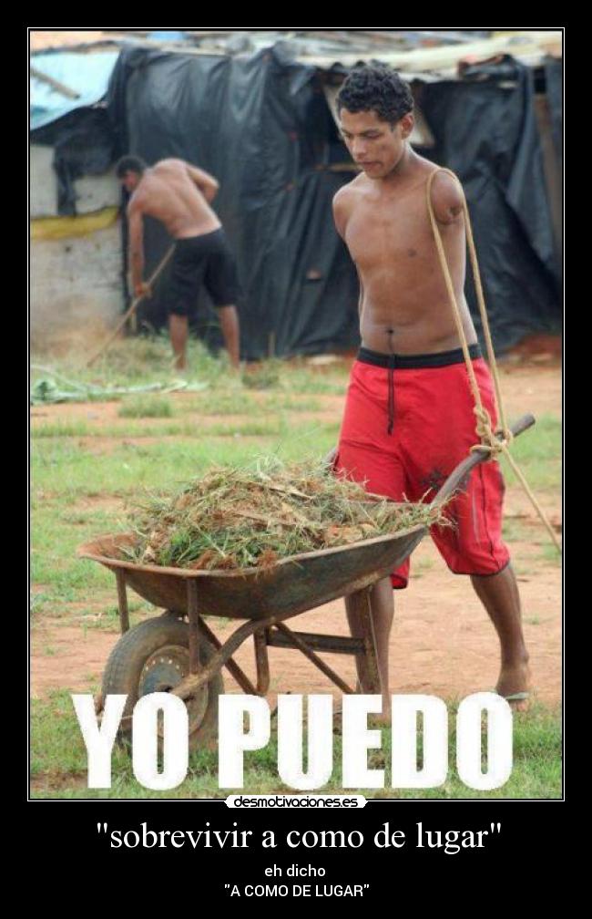 sobrevivir a como de lugar - eh dicho
A COMO DE LUGAR