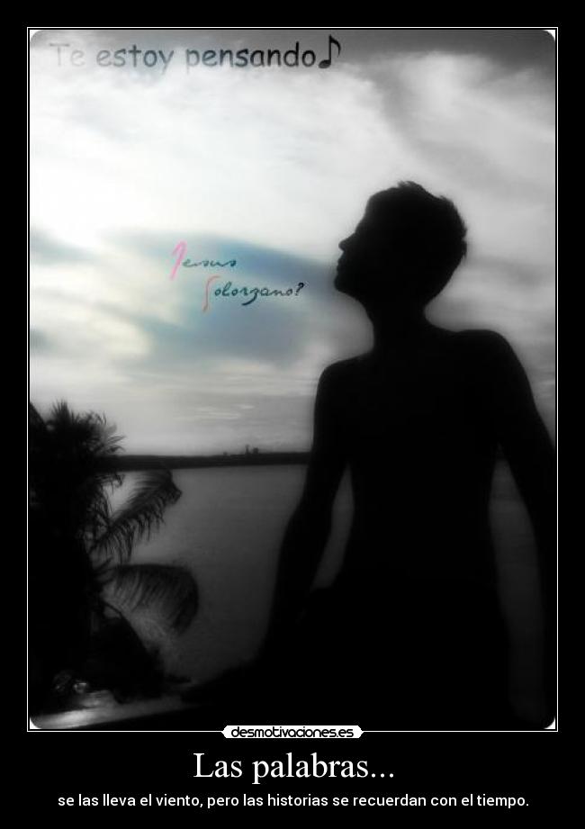 carteles solosigueme desmotivaciones