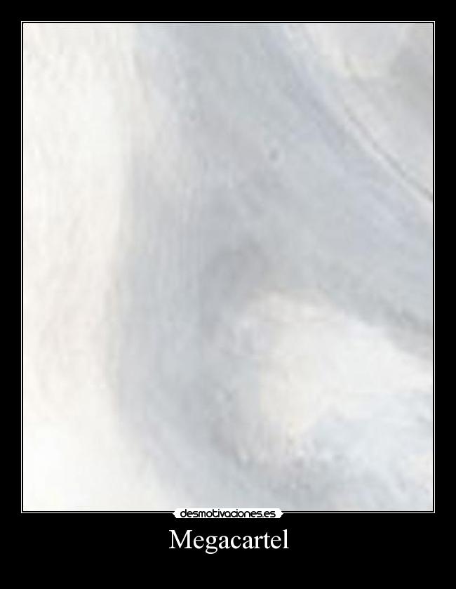 Megacartel -