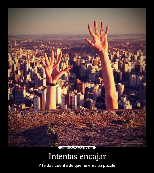 carteles las ardillas molan desmotivaciones