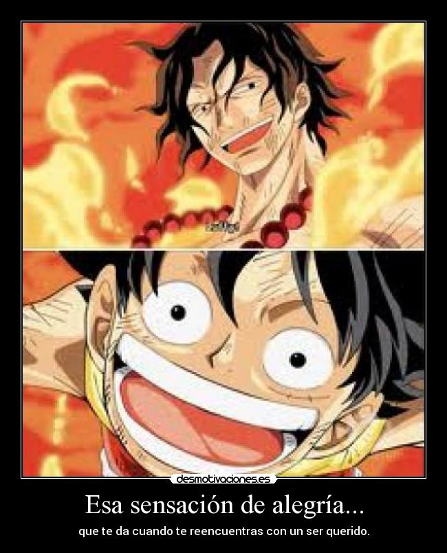 Esa sensación de alegría... - que te da cuando te reencuentras con un ser querido.