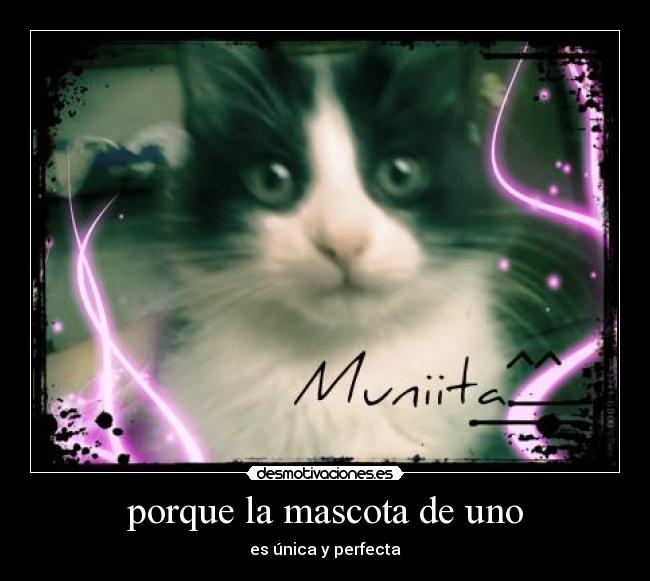 porque la mascota de uno - es única y perfecta
