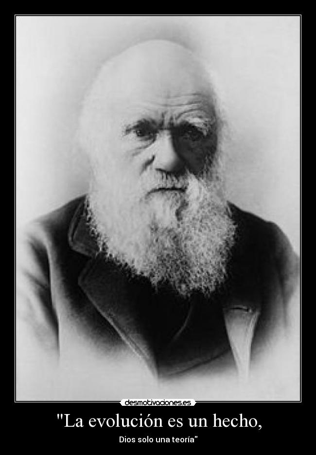 carteles charles darwin dios evolucion teoria desmotivaciones