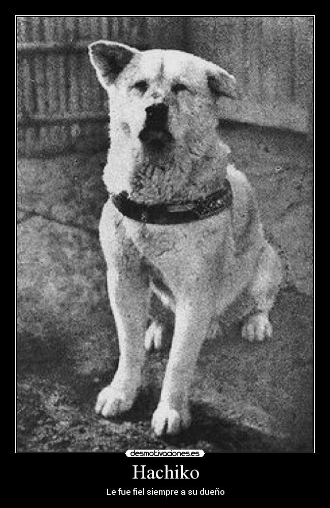 Hachiko - Le fue fiel siempre a su dueño