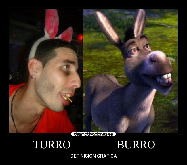 TURRO                BURRO - DEFINICION GRAFICA