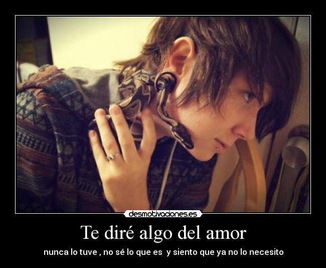Te diré algo del amor - nunca lo tuve , no sé lo que es y siento que ya no lo necesito