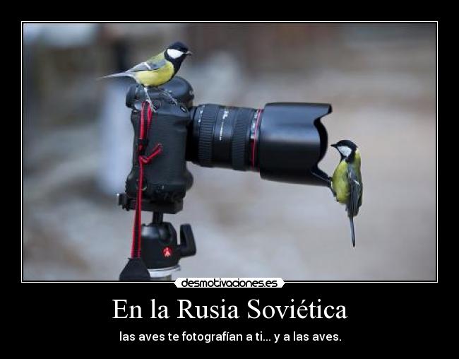 En la Rusia Soviética - 