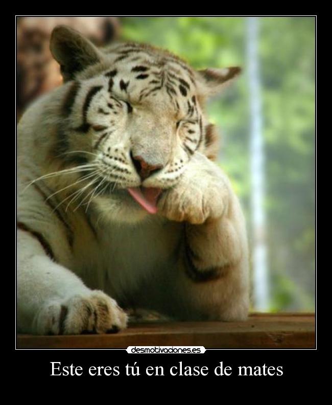 Este eres tú en clase de mates -