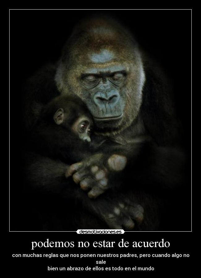 podemos no estar de acuerdo -