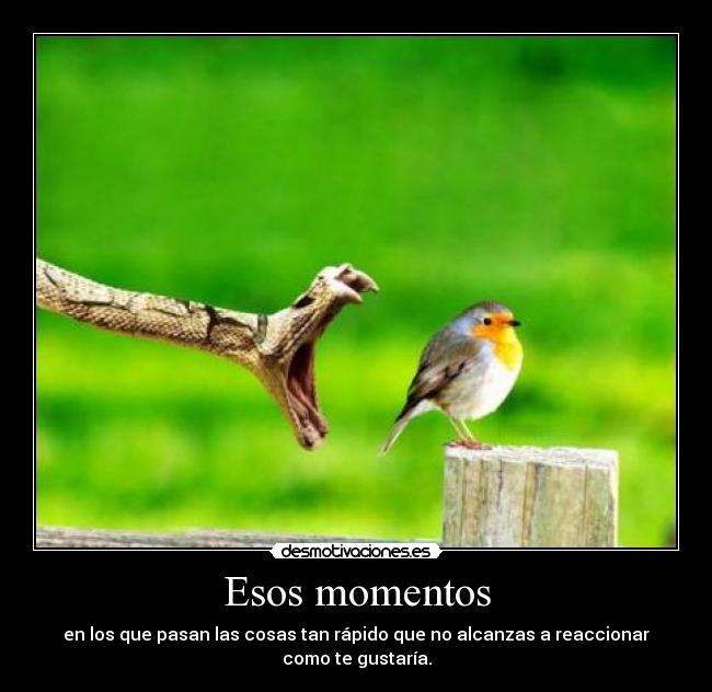 Esos momentos - en los que pasan las cosas tan rápido que no alcanzas a reaccionar como te gustaría.