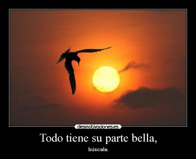 carteles belleza desmotivaciones