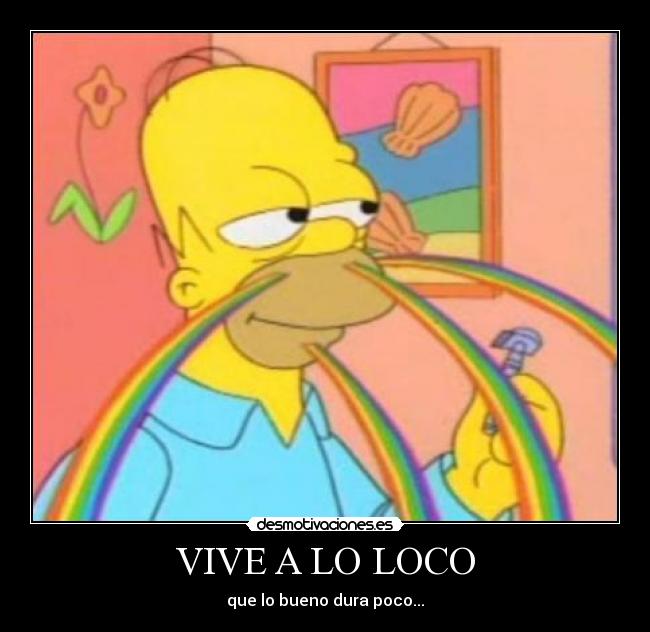 VIVE A LO LOCO - que lo bueno dura poco...