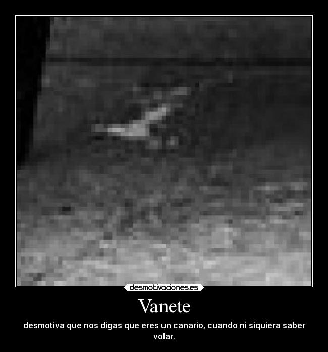 Vanete - desmotiva que nos digas que eres un canario, cuando ni siquiera saber volar.