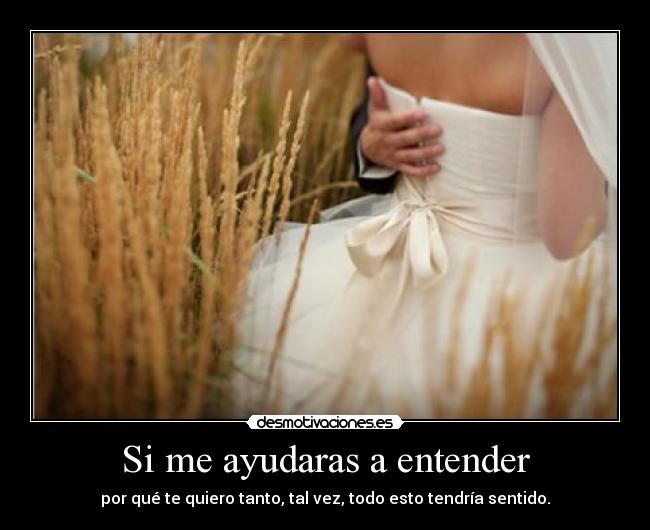 Si me ayudaras a entender - 