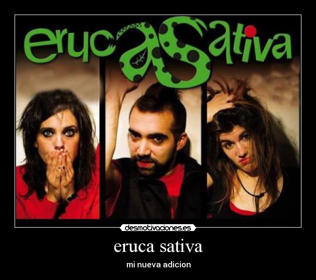 eruca sativa - 