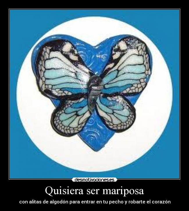 Quisiera ser mariposa - con alitas de algodón para entrar en tu pecho y robarte el corazón