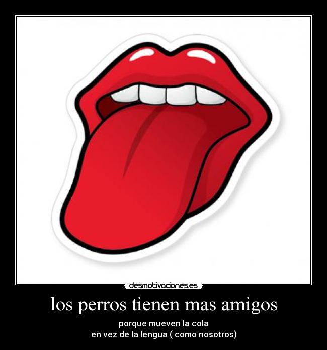 los perros tienen mas amigos -