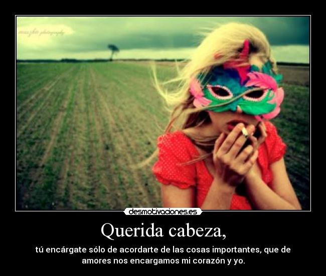 Querida cabeza, -