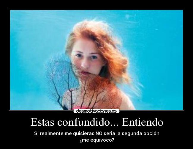 Estas confundido... Entiendo - Si realmente me quisieras NO seria la segunda opción
¿me equivoco?