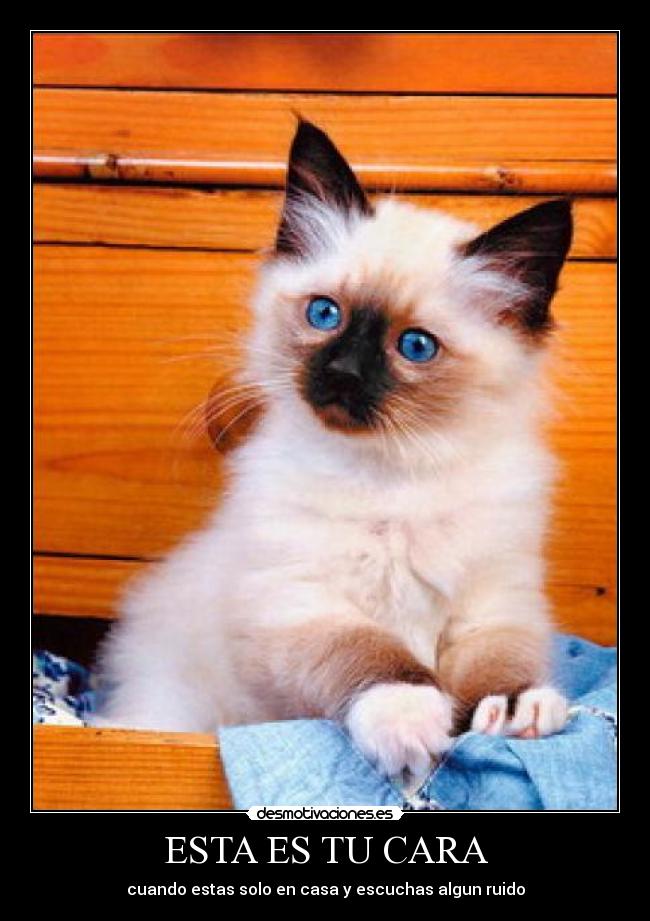 carteles guille 1000 desmotivaciones