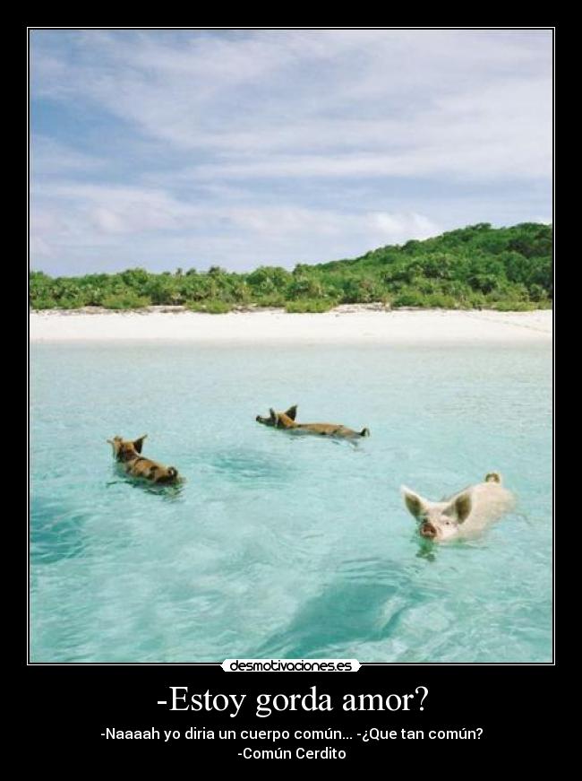 -Estoy gorda amor? - -Naaaah yo diria un cuerpo común... -¿Que tan común?
-Común Cerdito