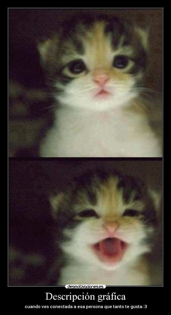 Descripción gráfica - cuando ves conectada a esa persona que tanto te gusta :3